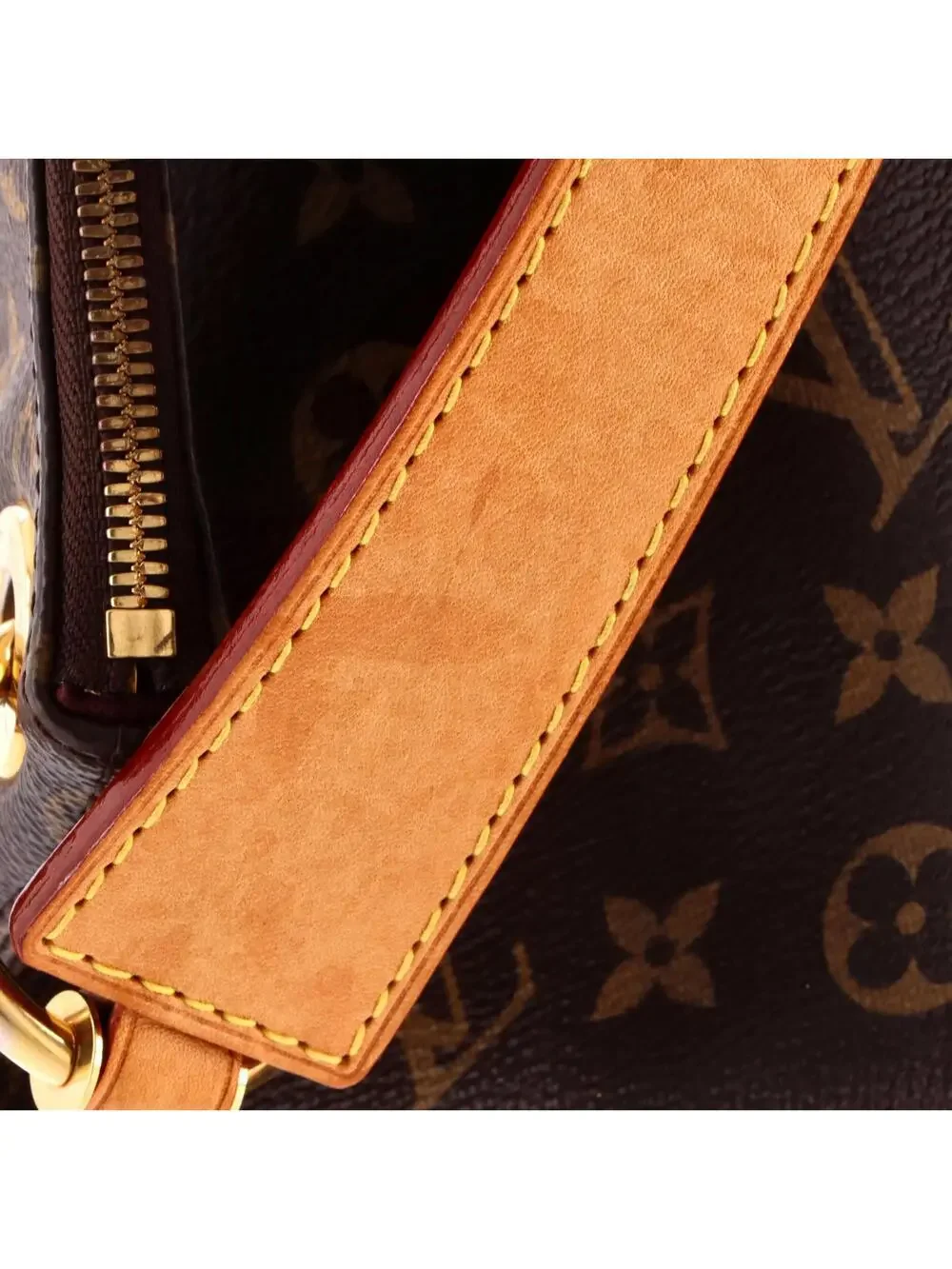 Louis Vuitton Berri Handbag Canvas Pm #316826L14B